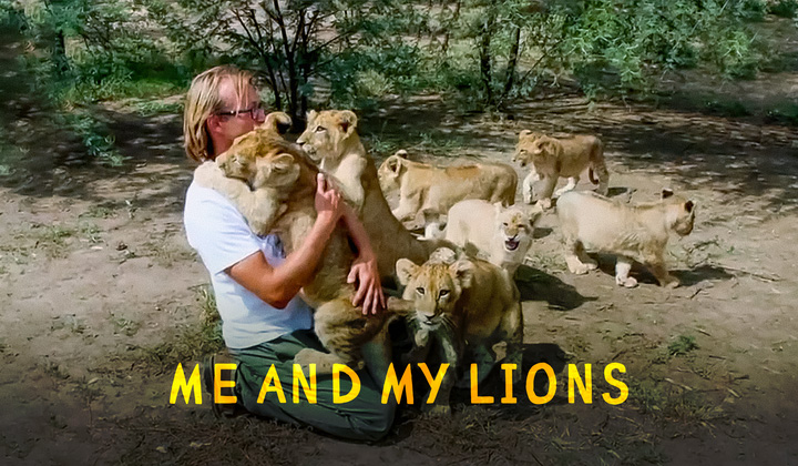 Me and My Lions